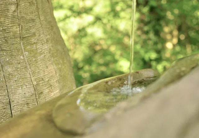 Un filo d'acqua che cade su una vasca di pietra, nel verde